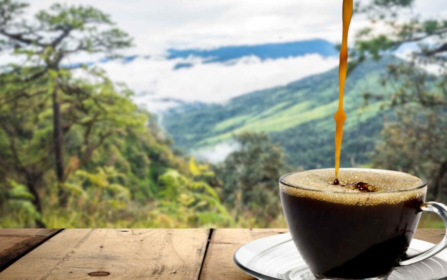 Brewing the best camping coffee with the Bellman Espresso Maker in the wild, surrounded by nature.