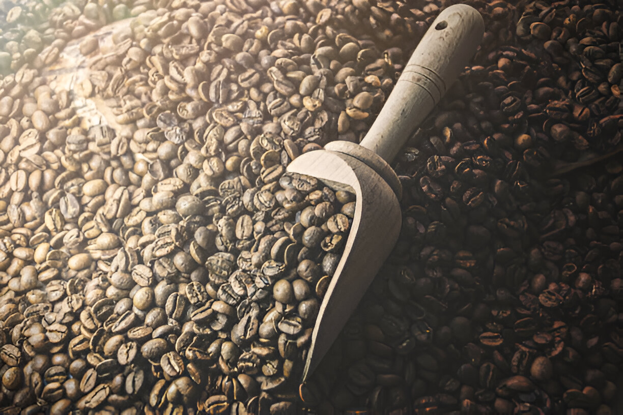 ace coffee roasters - garneau​